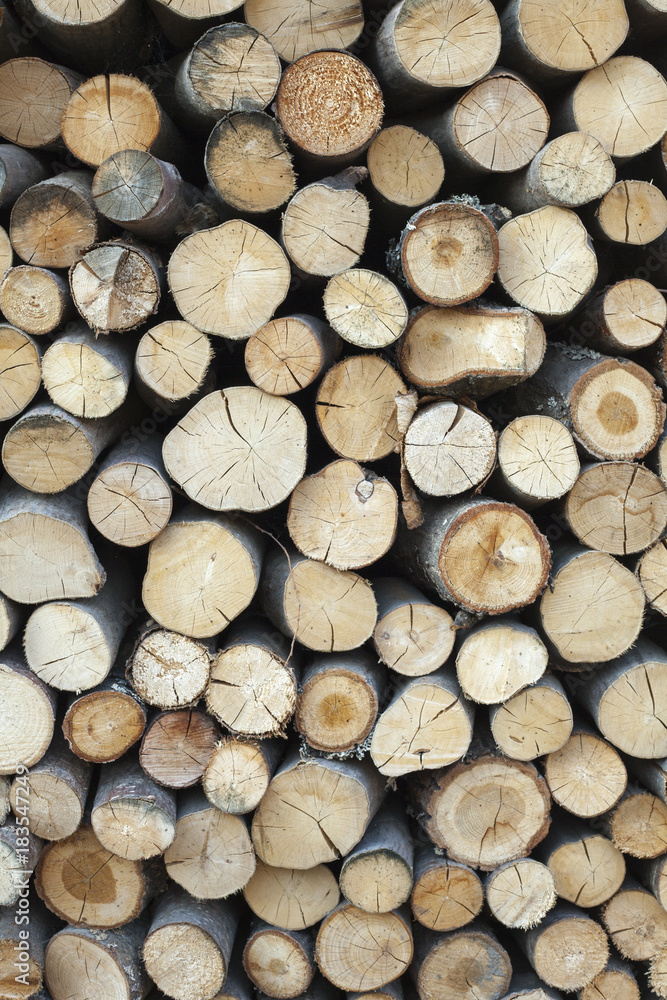 Sawed tree trunks and branches in different sizes, piled up in blue container Wood storage Timber industry Sawed tree trunks and branches in different sizes, piled up in blue container Wood storage Timber industry