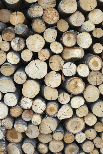 Sawed tree trunks and branches in different sizes  piled up in blue container Wood storage Timber industry