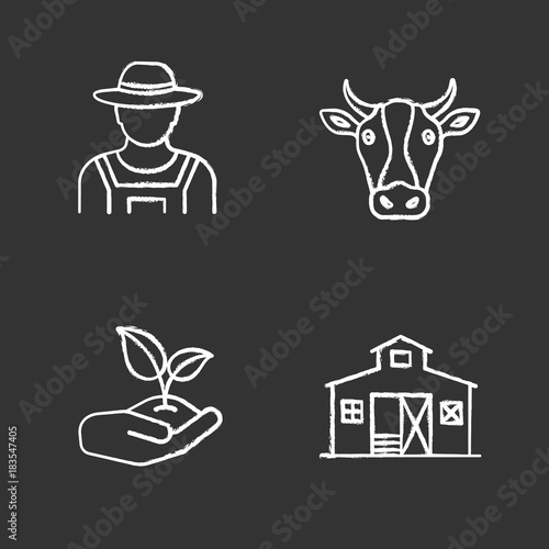 Agriculture chalk icons set