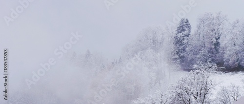 Panorama Wald in Nebel und Schnee