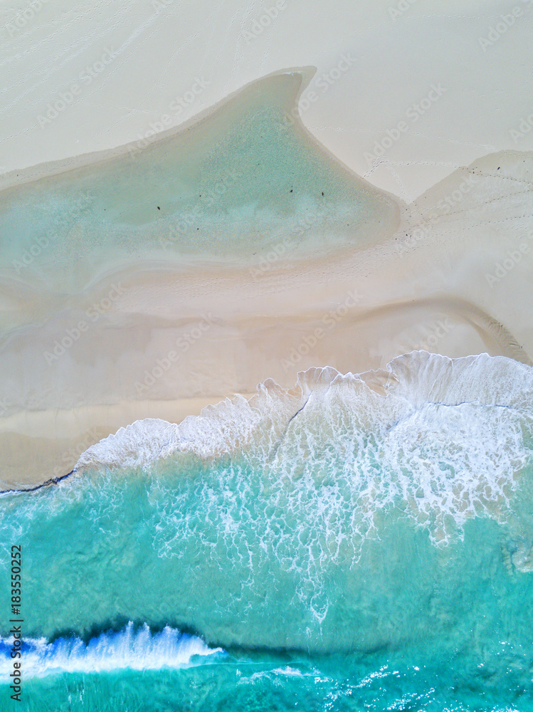 Dolphins in the Sand