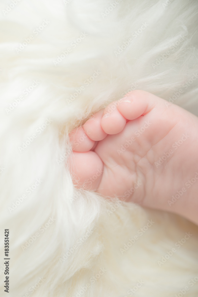 Small bare feet of a little baby girl or boy. Sleeping newborn child. Bare feet of a cute newborn baby in warm white blanket. Small bare feet of a little baby girl or boy. Sleeping newborn child. Bare feet of a cute newborn baby in warm white blanket.