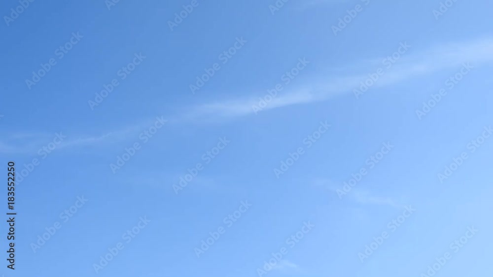 すっきりとした青空です。鳥たちが飛んでいきます。 すっきりとした青空です。鳥たちが飛んでいきます。