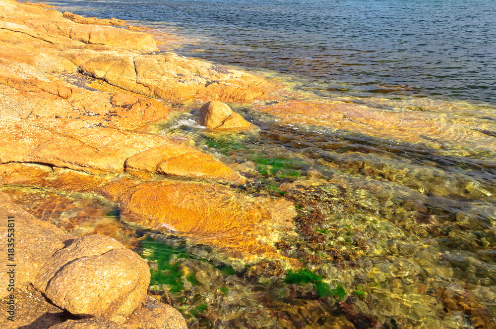 Green weeds in the crystal clear blue water and rocks coloured by red lichen in the Freycinet National Park - Coles Bay, Tasmania, Australia