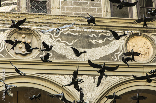 Birds decorating the Courtyard of Medici Palace, by Michelozzo, in Florence, Italy