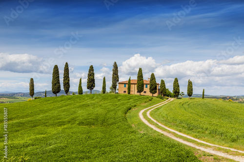 Rural landscape of Tuscany  Italy  San Quirico d Orcia