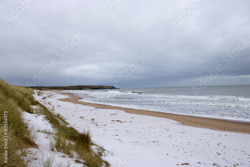 View of Snowy Beach with Ocean in Background