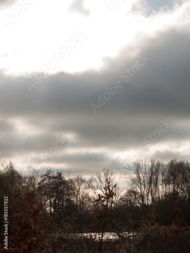 grey overcast cloudy sky line tree silhouette outside landscape nature