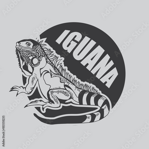 Iguana Vector