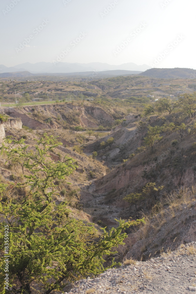 desertic landscape