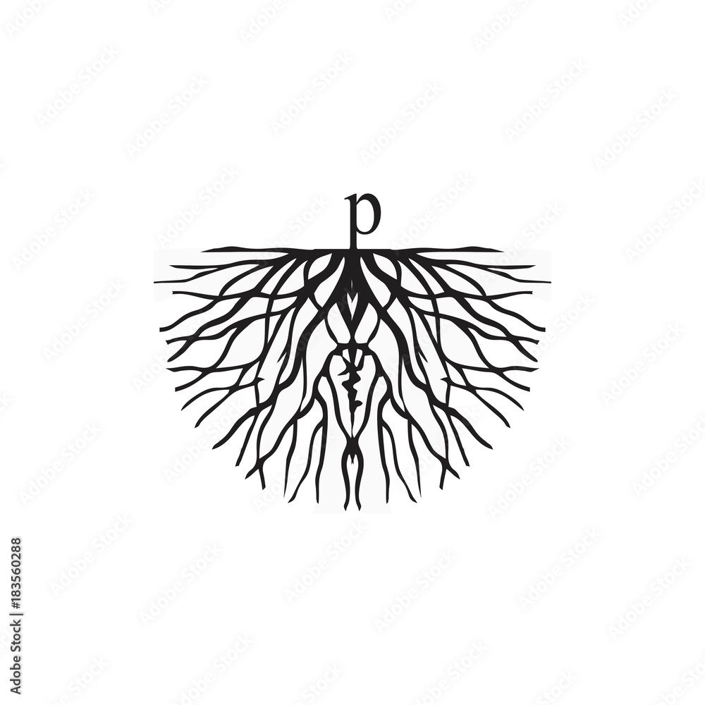 Fototapeta premium letter p with root logo vector