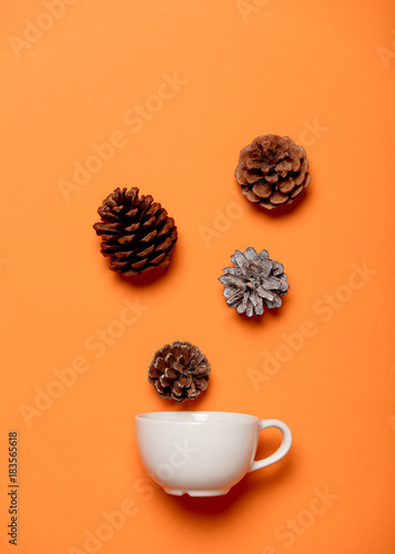White cup and pine cones
