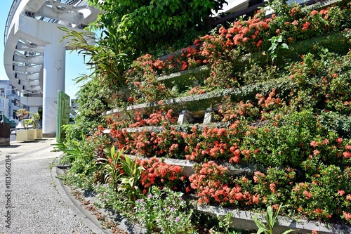 Around the nature-friendly Okinawa Monorail