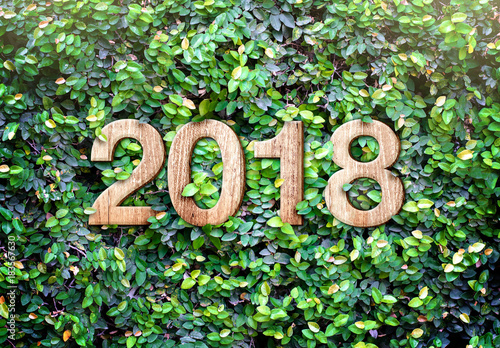 2018 new year wood texture number on Green leaves wall background,Nature eco concept,organic greeting card holiday
