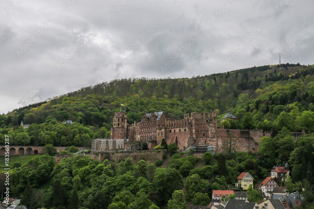 Heidelberg Castle and surrounding forest on the hill