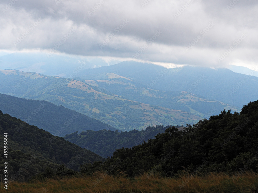 Obraz premium Carpatian mountains village at green forest