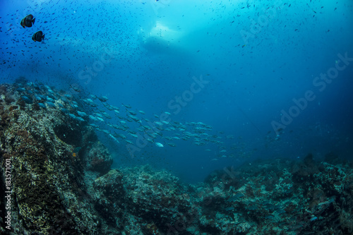 Ocean underwater world with fish school and boat at water surface