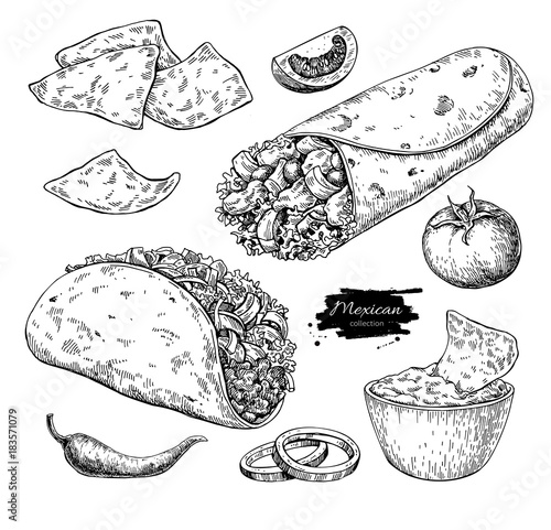 Mexican food drawing. Traditional cuisine vector illustration.