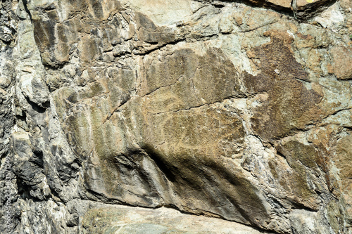 Ancient petroglyphs rock carvings on stones. Altai Republic, Russia photo