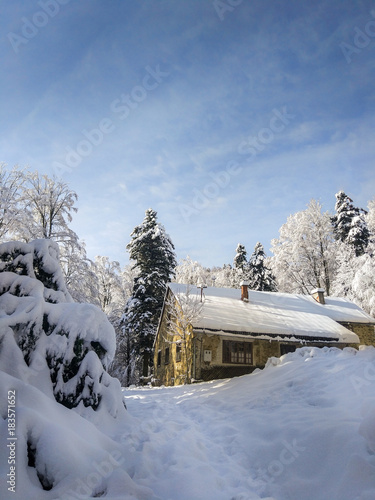 View of mountain hut or house in winter forest covered with snow on a sunny winter morning, beautiful Christmas holiday or winter scene 