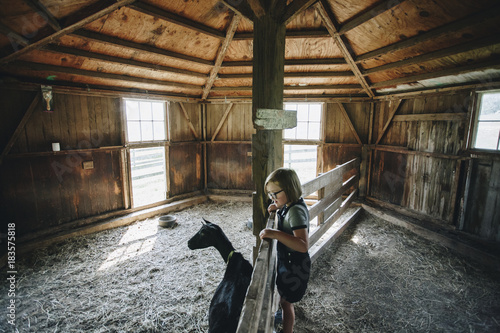 Little girl playing with a goat