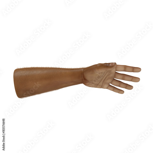 Man Hands Swarthy Skin on white. 3D illustration