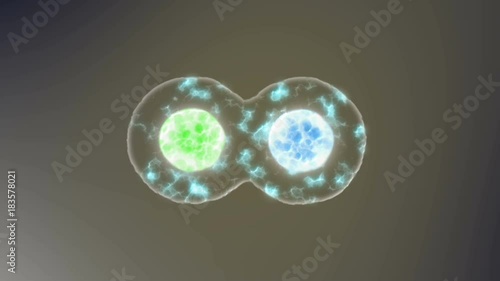 the cell is divided into four concept of mutation and evolution animation