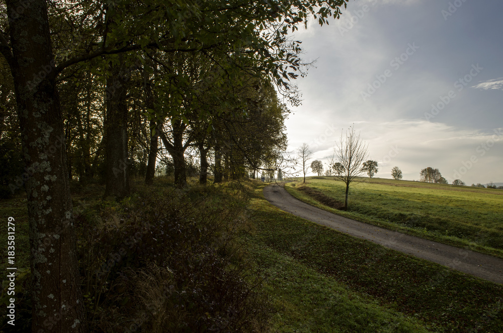 Obraz premium pola droga 