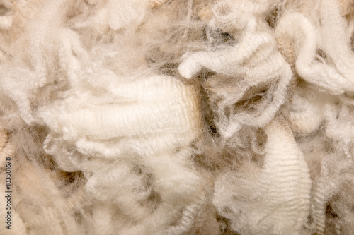 Background of unprocessed high quality merino wool