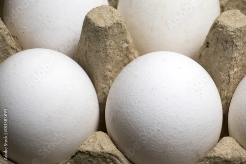 chicken eggs in an egg