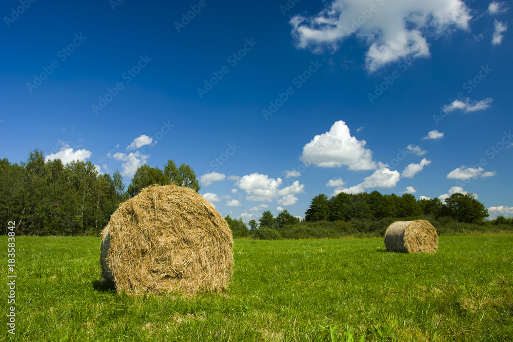 Two haystacks in a meadow by the grove Two haystacks in a meadow by the grove