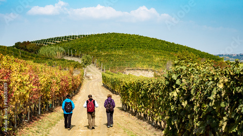 Walking down the winery