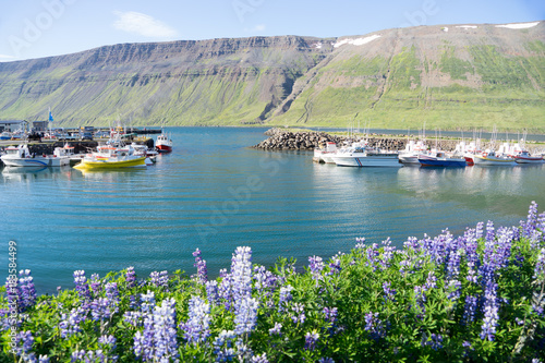 Hafen-/ Küsten-Landschaft in den Westfjorden, Island