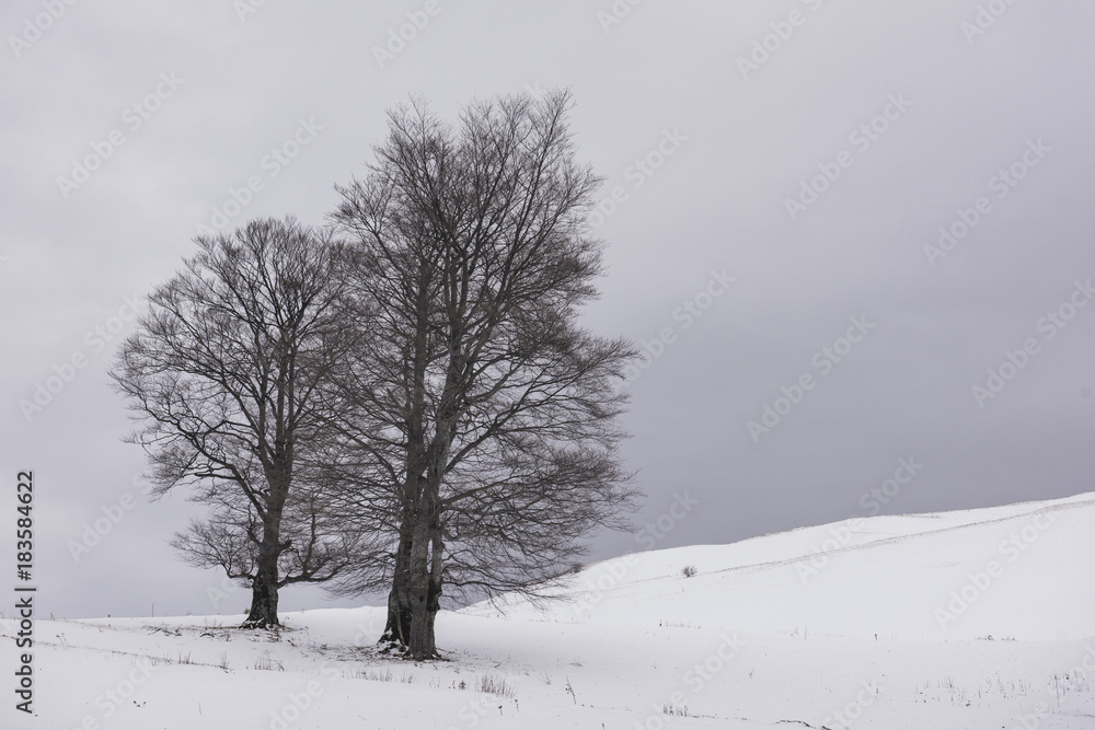 Winter landscape in Carpathians, Romania Winter landscape in Carpathians, Romania