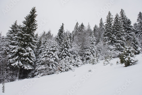 Winter landscape in Carpathians, Romania © agcreativelab
