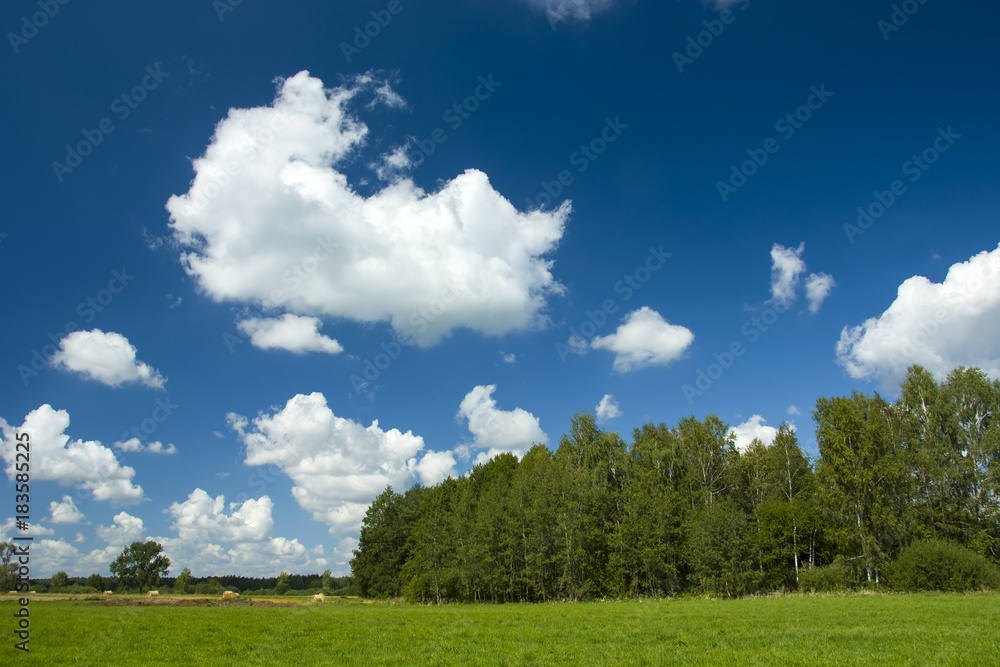 Green meadow, forest and blue sky with clouds Green meadow, forest and blue sky with clouds