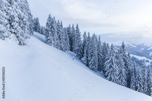 Landschaft mit Schnee und Bäume unter bewölkten Himmel © christophstoeckl