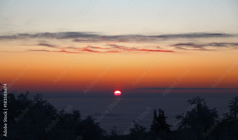 misty winter mountain top sunrise, silhouetting fir trees covered in snow