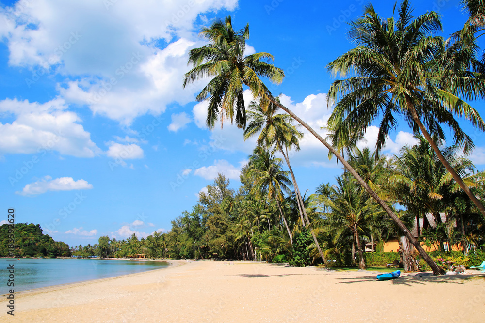 Obraz premium The view on the coconut palm trees on a sandy beach near to sea on a background of a blue sky. Koh Chang, Thailand.