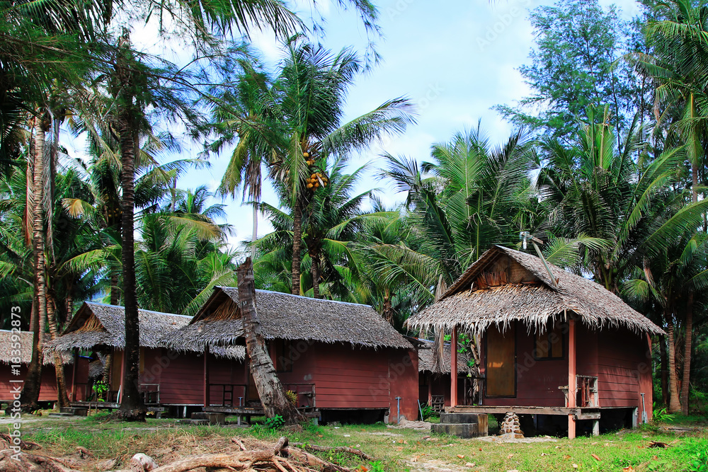 Wooden houses at the jungle between coconut palm trees. Koh Chang, Thailand Wooden houses at the jungle between coconut palm trees. Koh Chang, Thailand