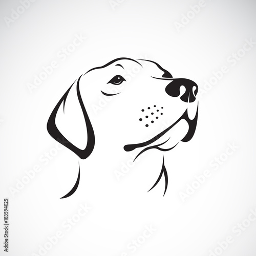 Vector of a dog head(Labrador Retriever) on white background, Pet.