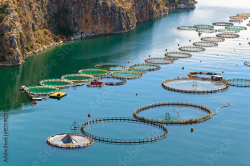 Fish farming in the sea, Greece