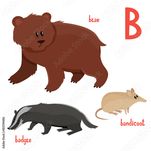 Set of cute bear, badger, bandicoot in cartoon style.