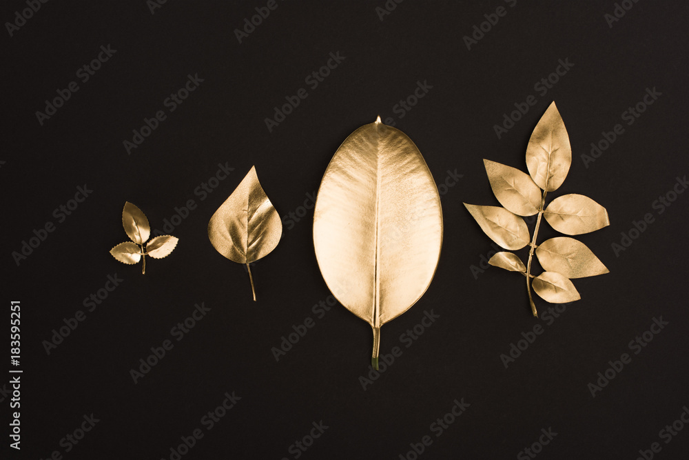 Fototapeta close up view of shiny golden leaves arranged in line isolated on black