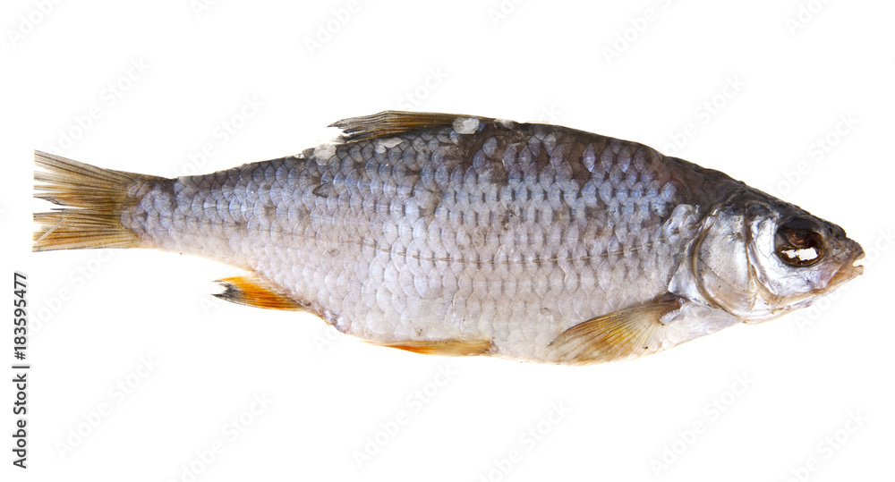 Naklejka premium dried fish isolated on white background