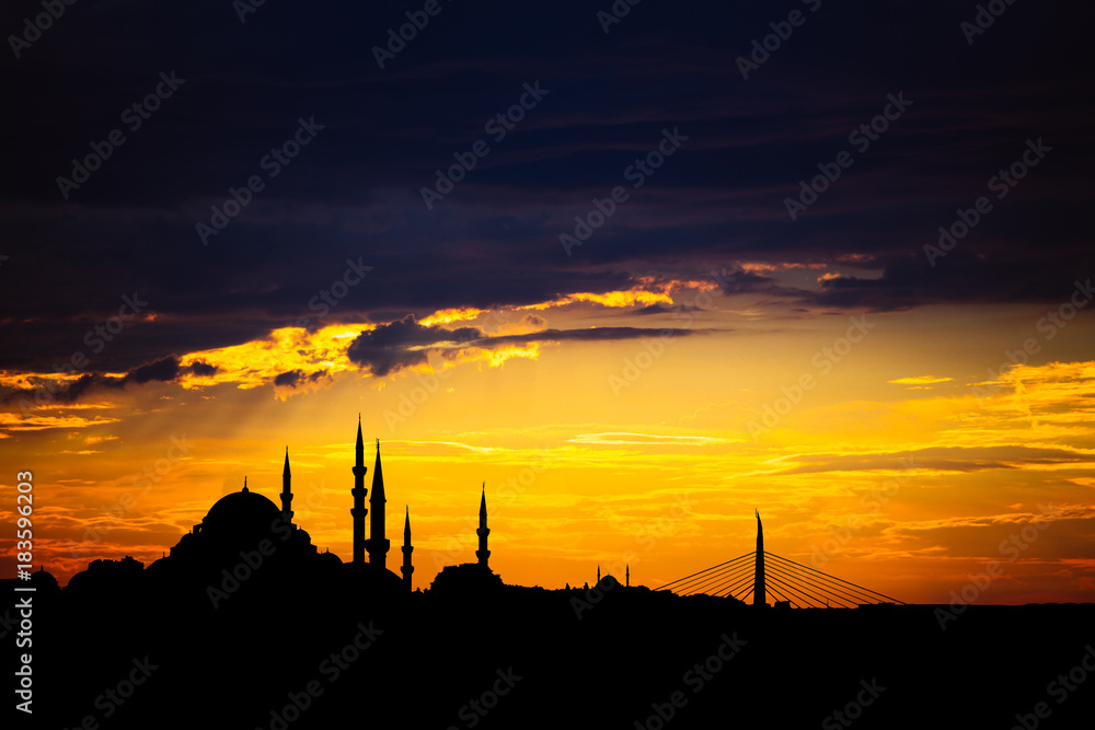 Istanbul cityscape with famous mosque at sunset