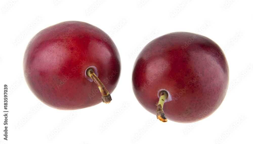 Fototapeta premium plums isolated on white background