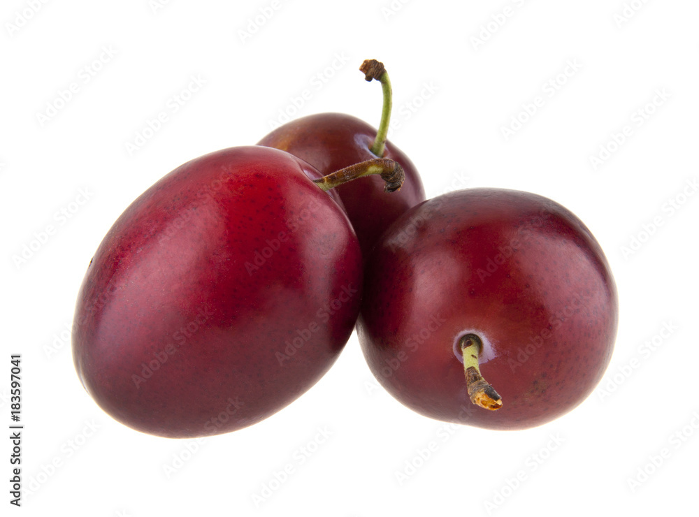 Obraz premium plums isolated on white background