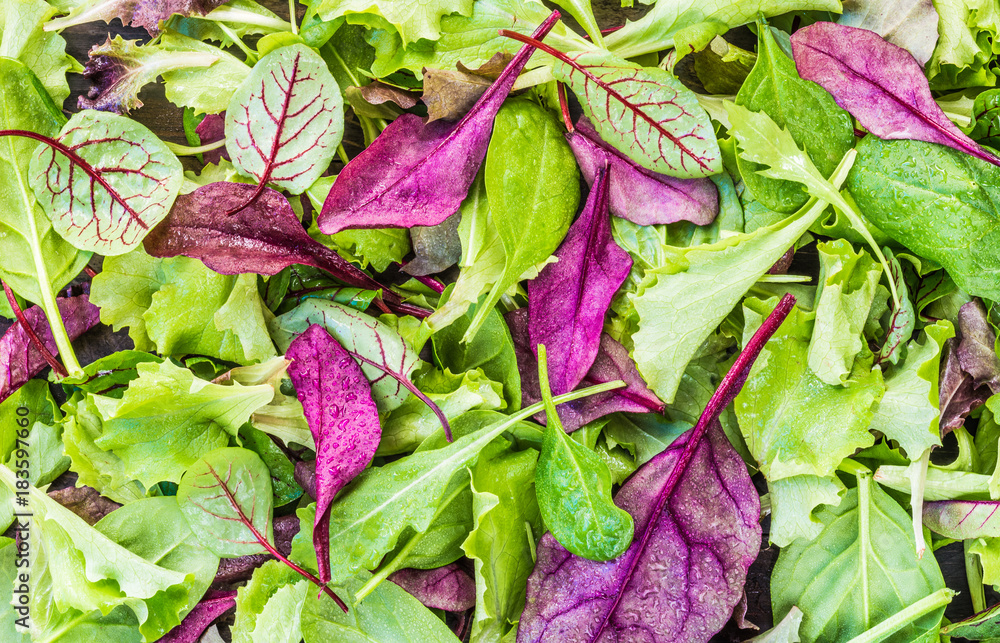 Green mix of salad leaves top view background. Green mix of salad leaves top view background.
