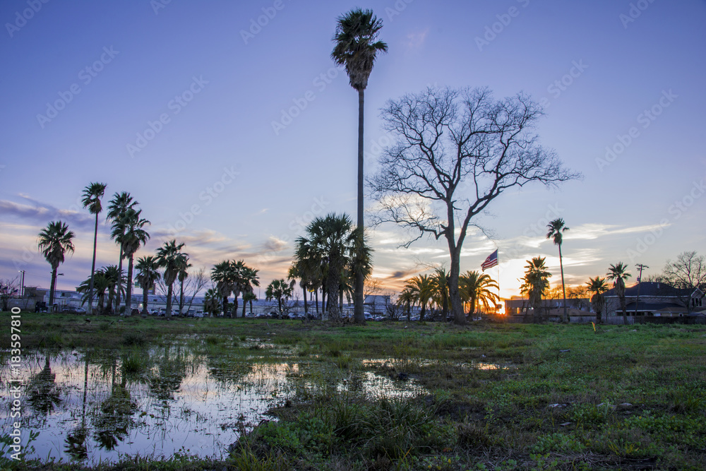 Obraz premium Houston Sunset